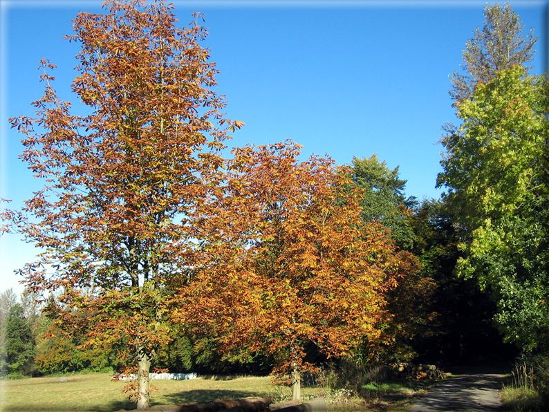 foto Parco Wilhelmshöhe in Autunno